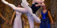 Nutzerfoto 1 Hamelner Ballettschule