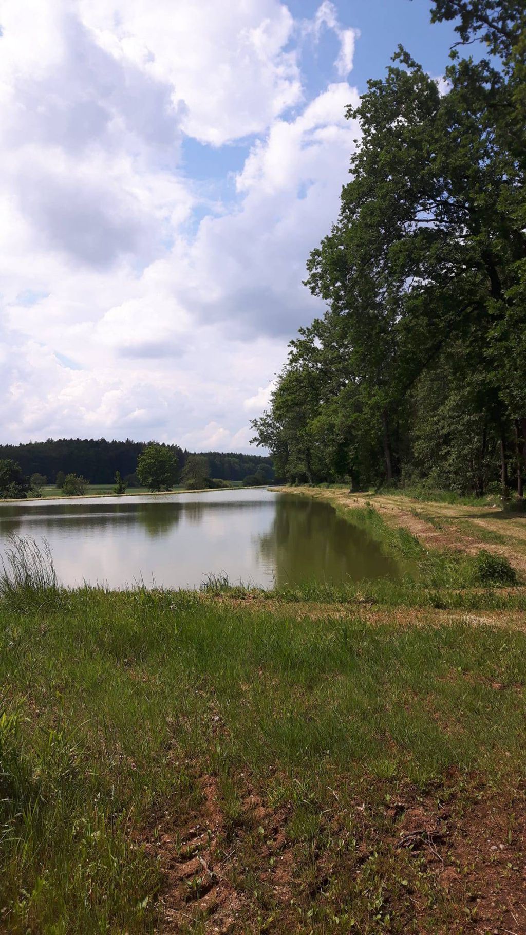 Nutzerfoto 2 Flierl Ewald
