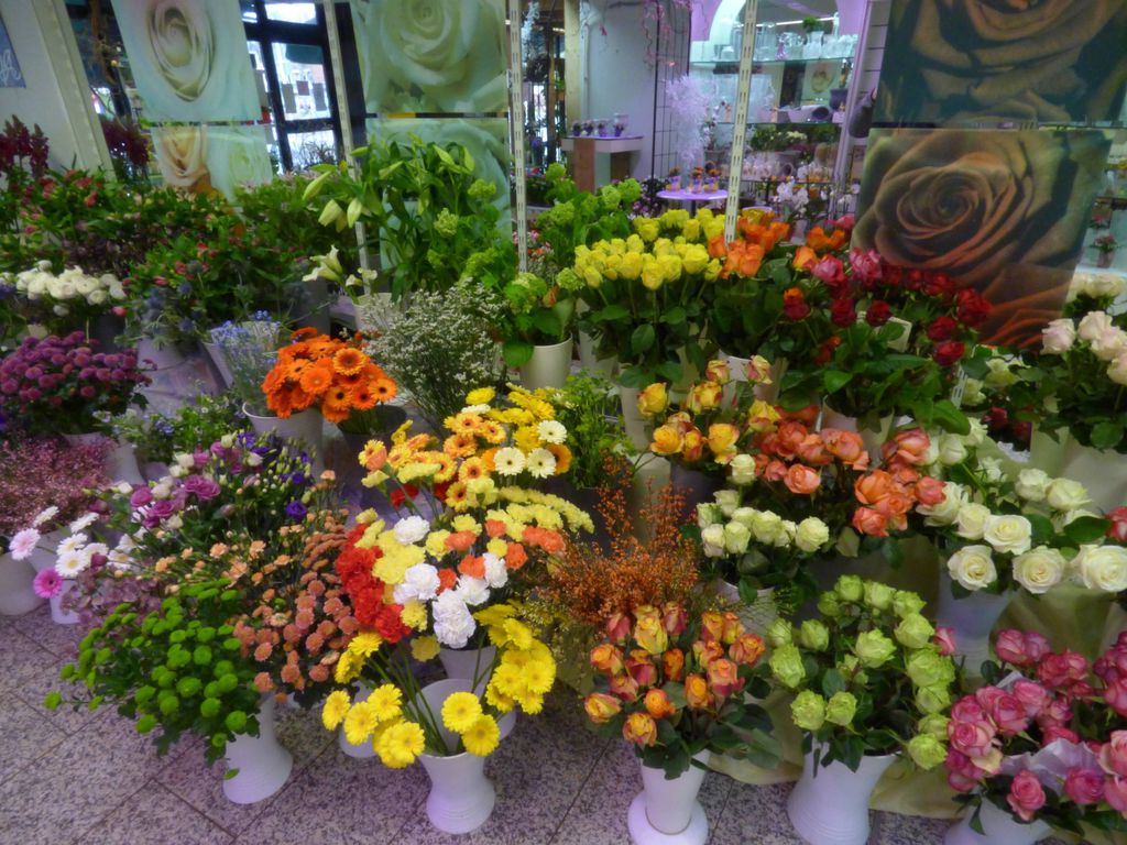 Nutzerfoto 2 Das Blumenhaus Nutzerfoto 2 Das Blumenhaus