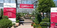 Nutzerfoto 1 Häussermann Stauden & Gehölze GmbH Campo Verde Gartenfachbetrieb