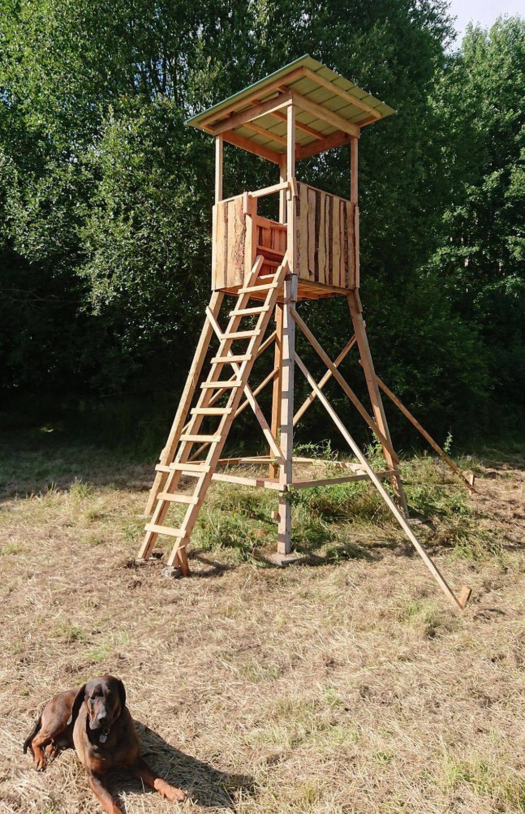 Nutzerfoto 5 MeinHochsitz.de Nutzerfoto 5 MeinHochsitz.de