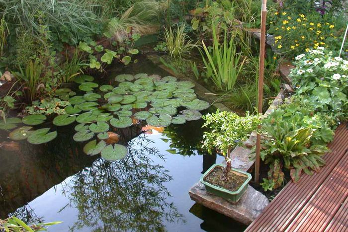 Teichbau Gartenbau Oldorff