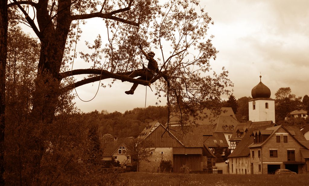 Nutzerfoto 16 Garten- und Landschaftsbau Klaus Neundörfer GmbH