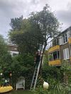 Das Örtliche