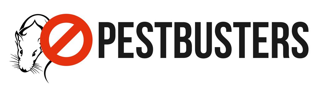 Nutzerfoto 2 Pestbusters