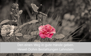 Das Örtliche