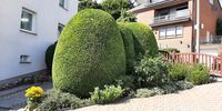 Nutzerfoto 2 Lokaj Gartenpflege