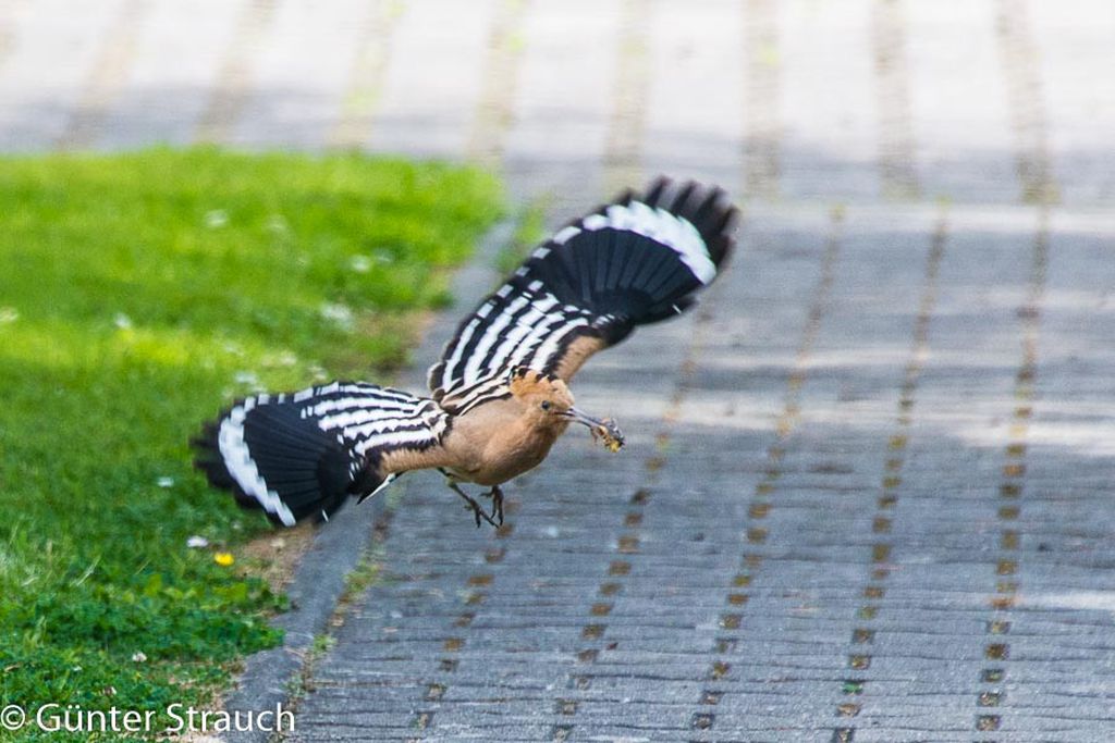 Nutzerfoto 3 Hölzke Manfred Nutzerfoto 3 Hölzke Manfred