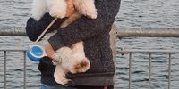 Nutzerfoto 1 Hundepflege u. Heimtierbedarf Inh. Sigrid Ditloff