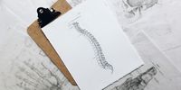 Nutzerfoto 2 AVANI Osteopathie
