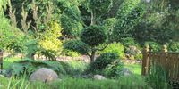 Nutzerfoto 1 Ahrens Gartenpflege u. -gestaltung GmbH