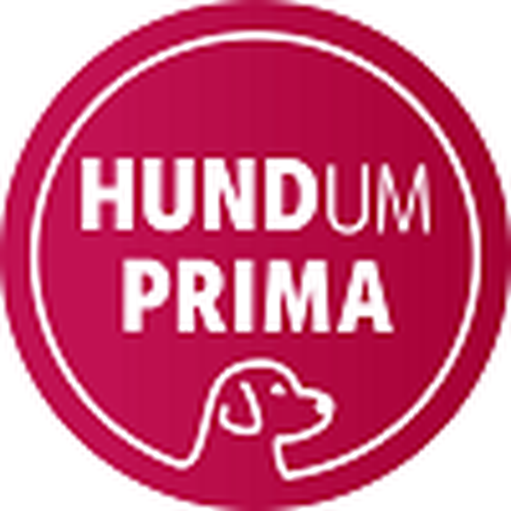 Nutzerfoto 1 HundUmPrima GmbH Hundeschule - Mary-Anne Pelz