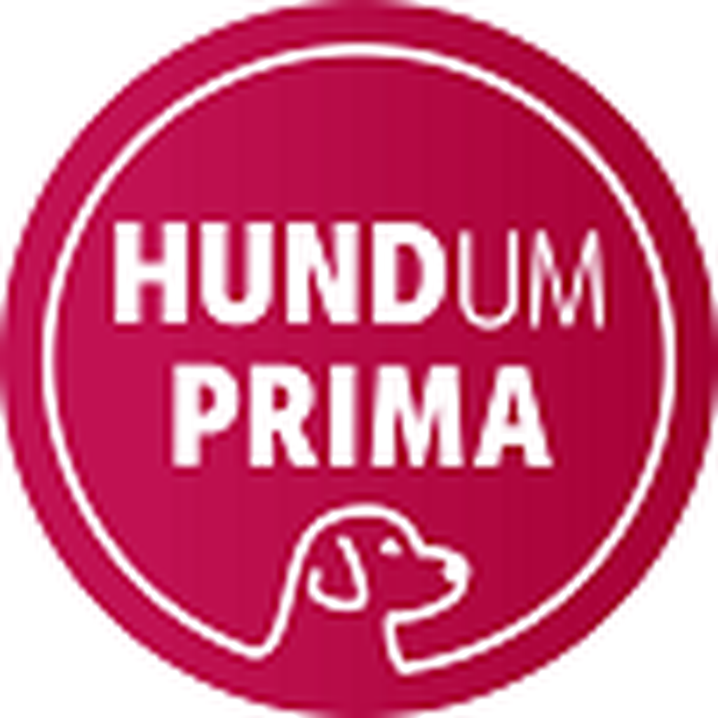 Nutzerfoto 1 Hundeschule HundUmPrima GmbH