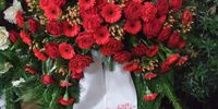 Nutzerfoto 2 Hanschmann Blumen