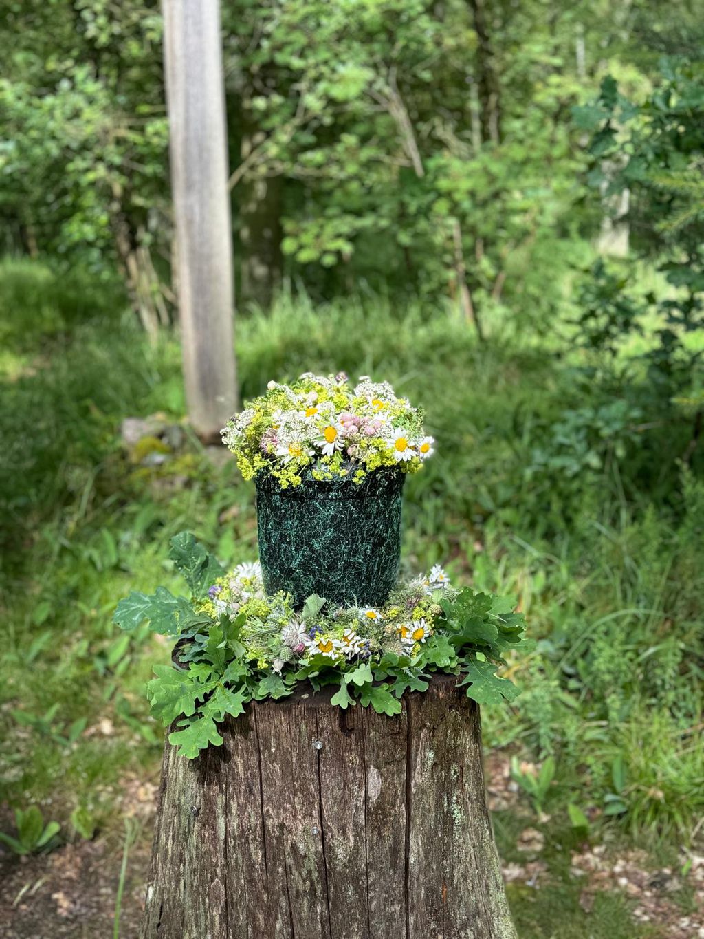 Nutzerfoto 5 Röhl Franka Blumen Nutzerfoto 5 Röhl Franka Blumen