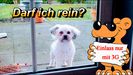 Das Örtliche