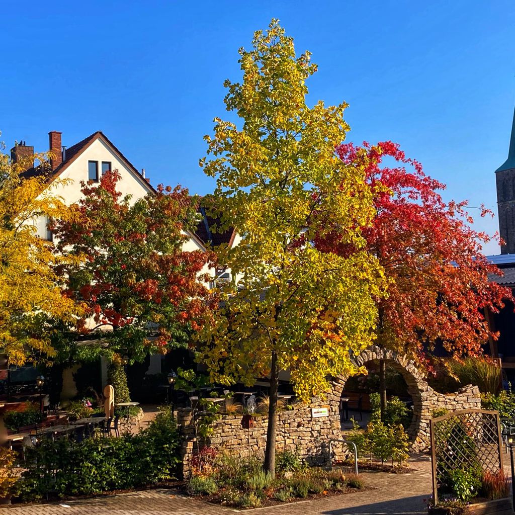 Nutzerfoto 1 Schrage Gasthof