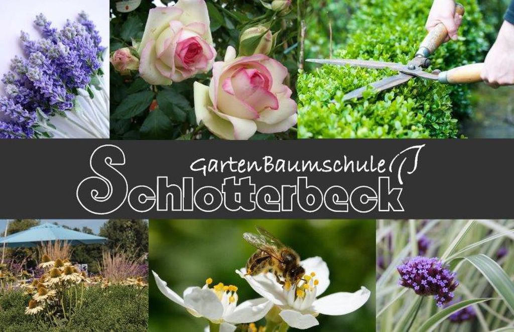 Nutzerfoto 1 Schlotterbeck GartenBaumschule Großmann Martin Baumschule