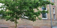 Nutzerfoto 3 Gottschalk Uta