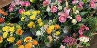 Nutzerfoto 2 Blumenladen Ubhf Alt Mariendorf Cong Tuan Nguyen Einzelunternehmen