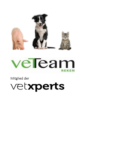 Vet-Team-Reken GbR Dres. Wilkes und Partner Tierarzt