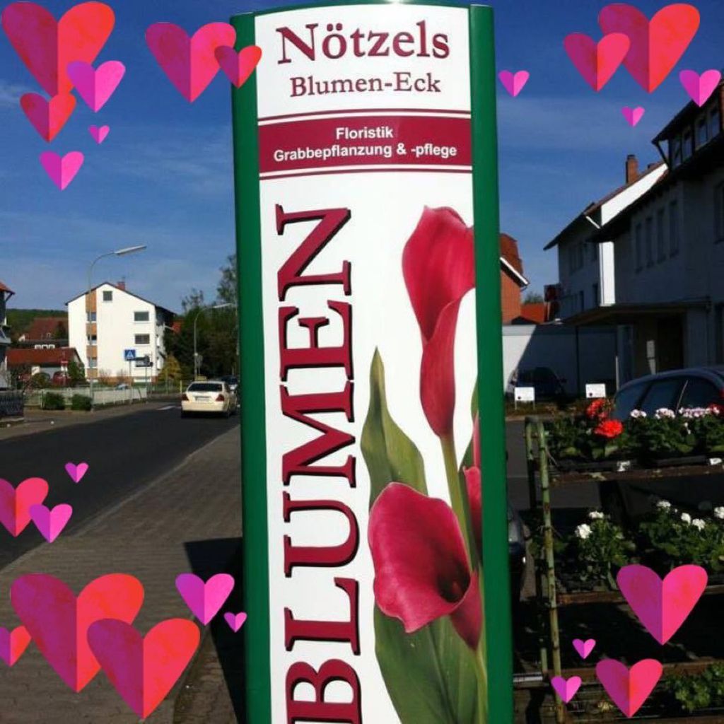 Nutzerfoto 1 Nötzel, Iris
