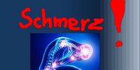 Nutzerfoto 2 Physiotherapie & Massage Praxis