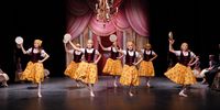 Nutzerfoto 8 Hamelner Ballettschule