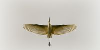 Nutzerfoto 1 Effner Heinz Photography
