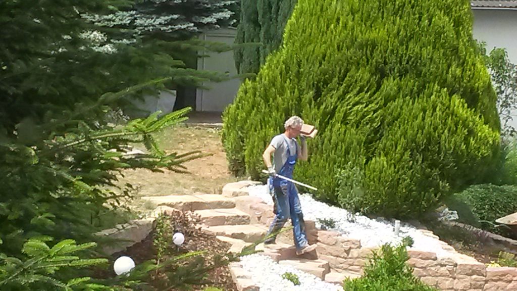 Nutzerfoto 3 Landratsamt Odenwaldkreis Nutzerfoto 3 Landratsamt Odenwaldkreis