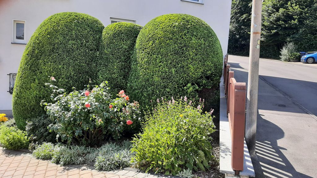 Nutzerfoto 1 Lokaj Gartenpflege