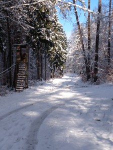 Lauerskreuz