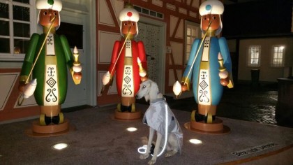 Windhund Weihnachten 