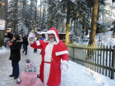 Möllensdorfer Weihnachtsmarkt 2022