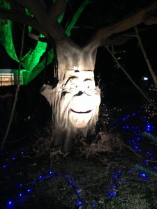 Bruno der sprechende Baum. Klasse !