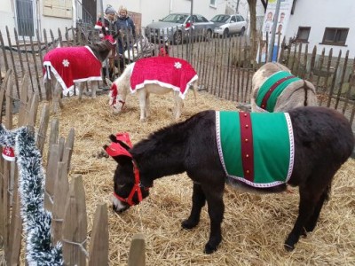 Weihnachts-Esel