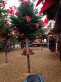 Zum Weihnachtsmarkt